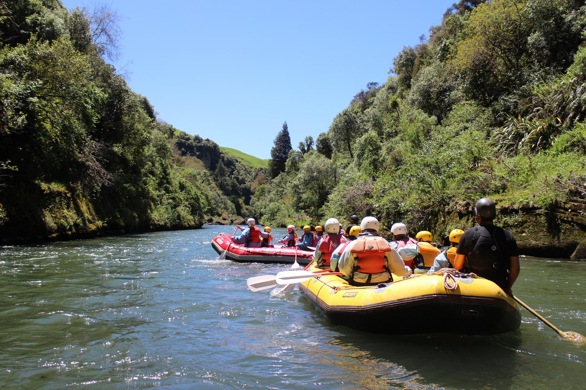 best rafting tours new zealand